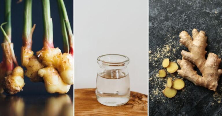 Ginger in Water: Can You Really Grow It Indoors?