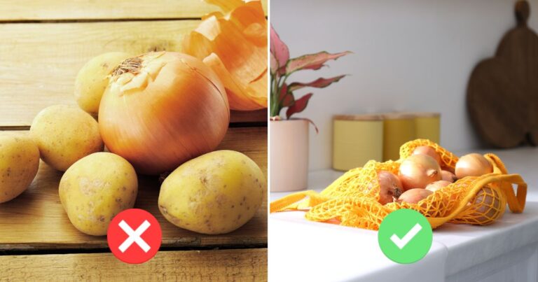 How to Store Onions Properly So They Stay Fresh for Months