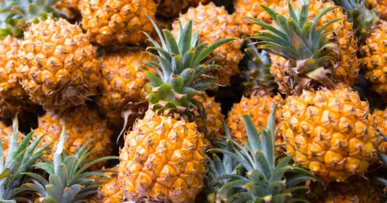 No Soil, No Problem: Growing Pineapples in Water Made Simple