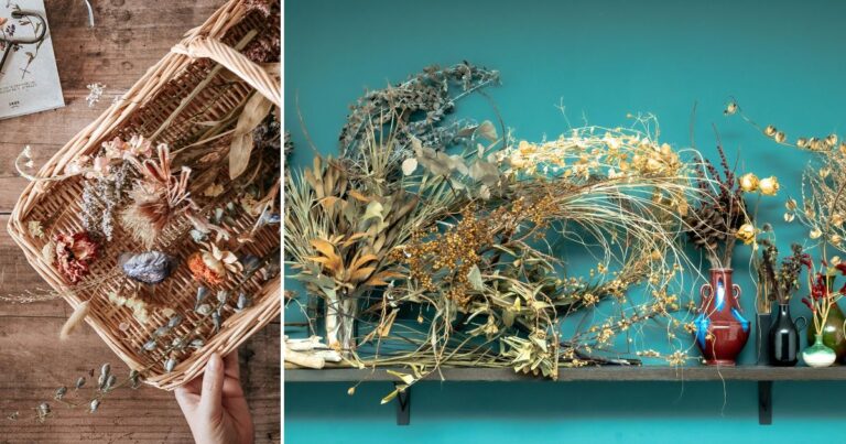 Quick and Easy Ways to Dry Flowers While Keeping Their Color Vibrant
