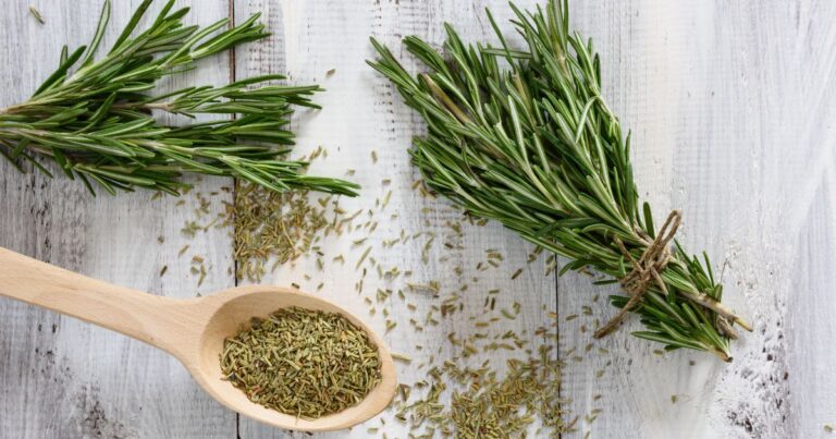 Unlock the Power of Rosemary: 11 Secrets for Everyday Use