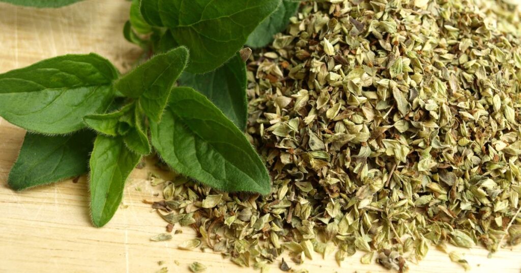13 Reasons to Grow Oregano: What Makes This Herb So Special?