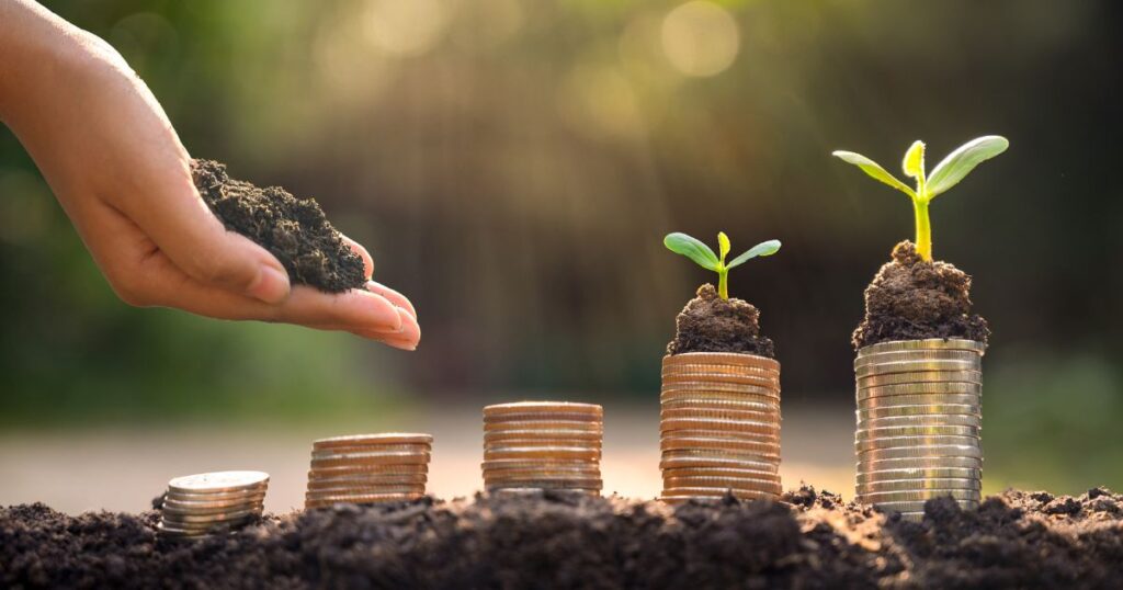 16 Lucky Plants for Prosperity: How Do They Attract Wealth?