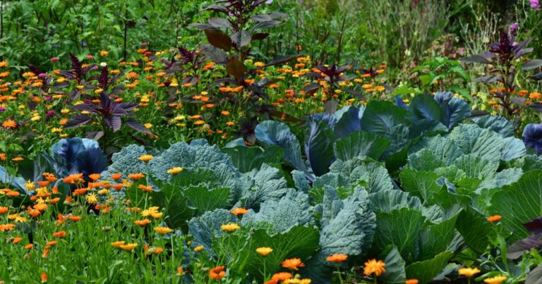 24 Fun Crops to Bring Life to Your Chaos Garden