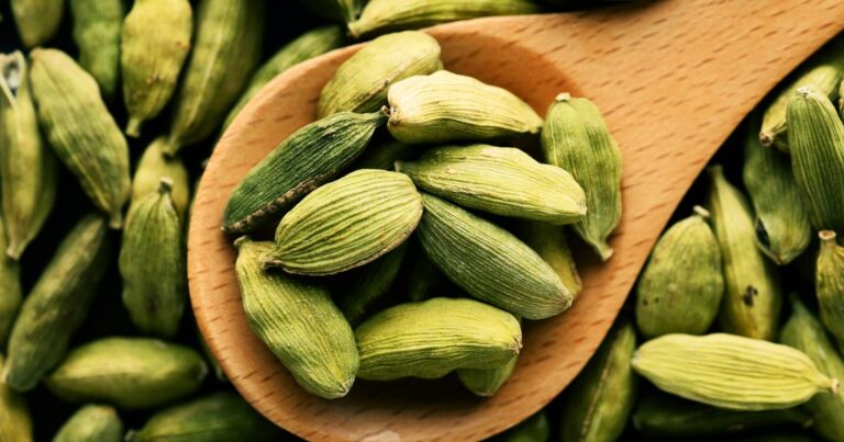 5 Easy Steps to Grow Cardamom at Home in Pots
