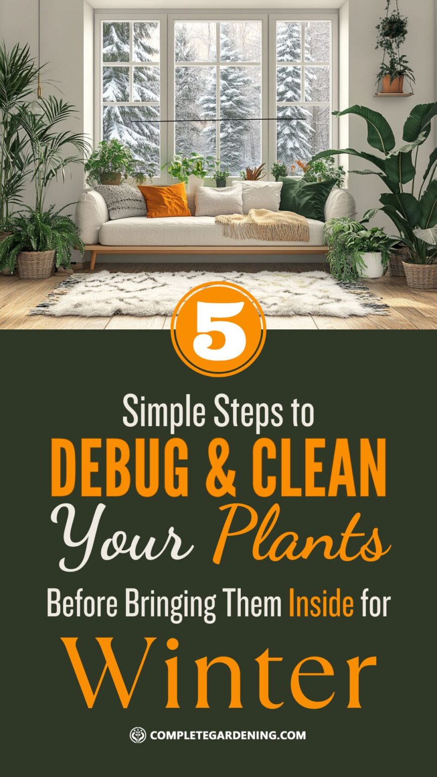 5 Simple Steps to Debug and Clean Your Plants Before Bringing Them