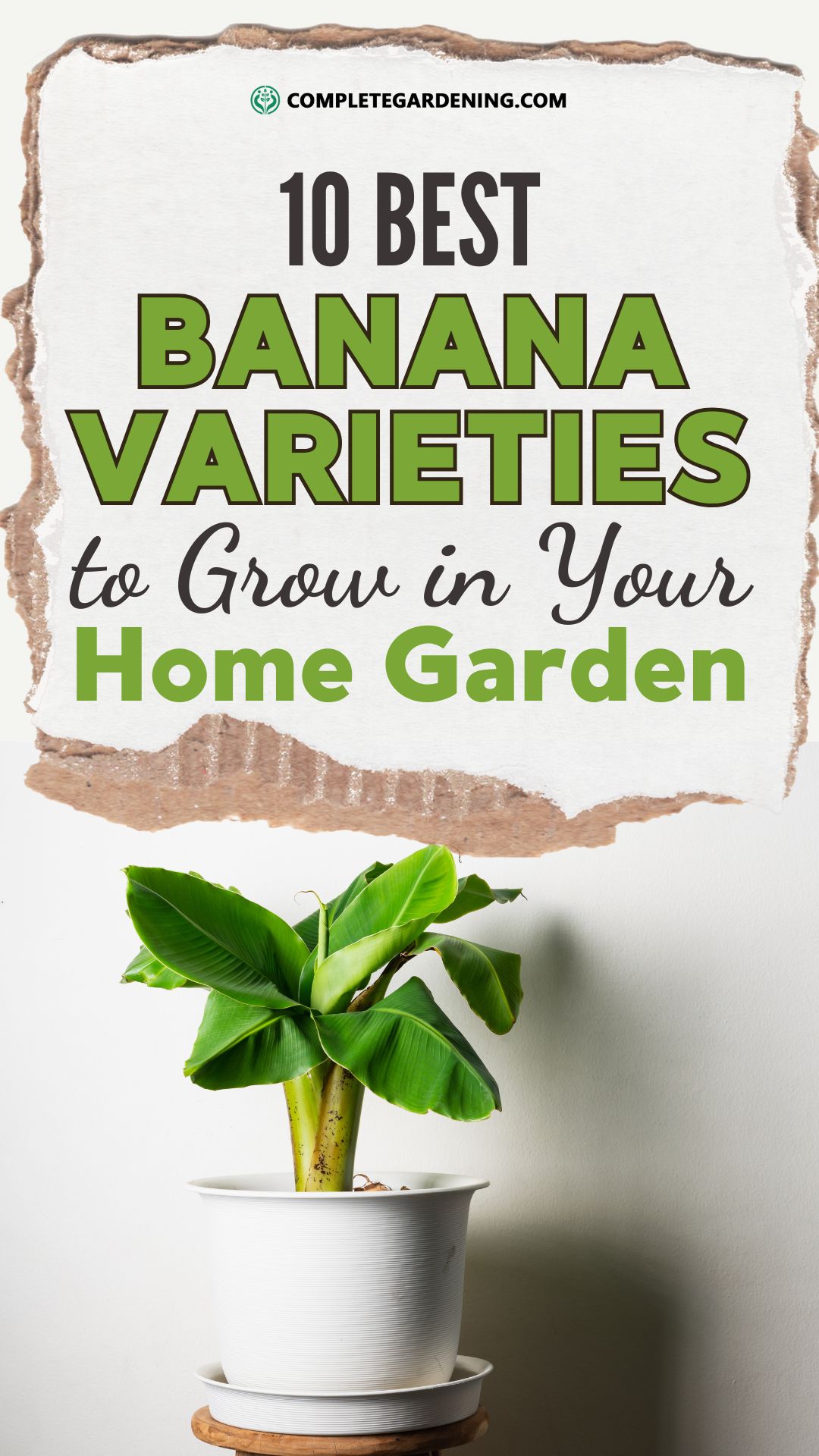 10 Best Banana Varieties to Grow in Your Home Garden Complete Gardening