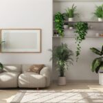 Can These 15 Houseplants Really Help You Sell Your Home?