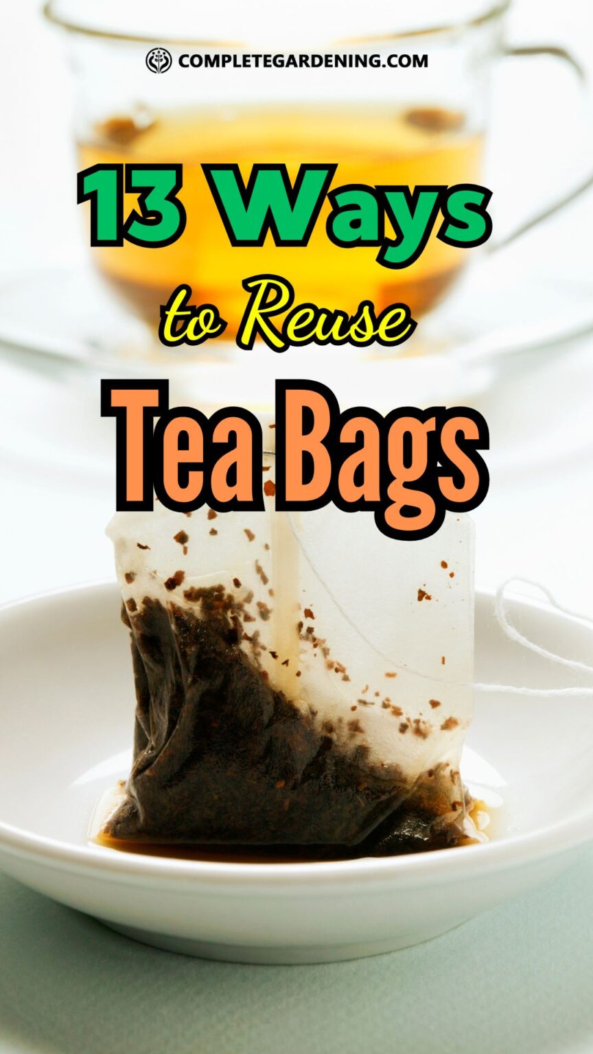 From Cup to Garden 13 Ways to Reuse Tea Bags Complete Gardening