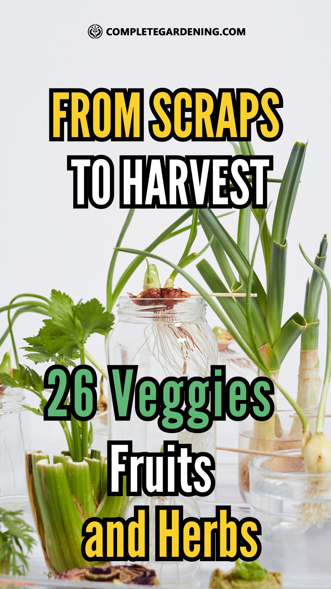 From Scraps to Harvest Regrowing 26 Veggies, Fruits and Herbs at Home
