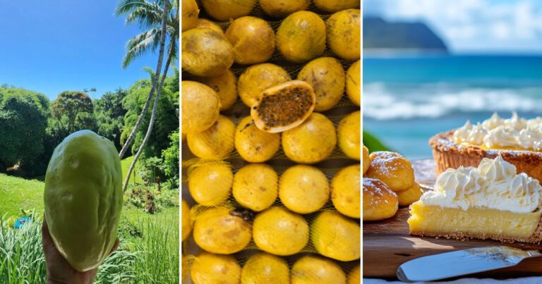 A Taste of the Tropics: Hawaii’s Golden Liliko‘i Passion Fruit