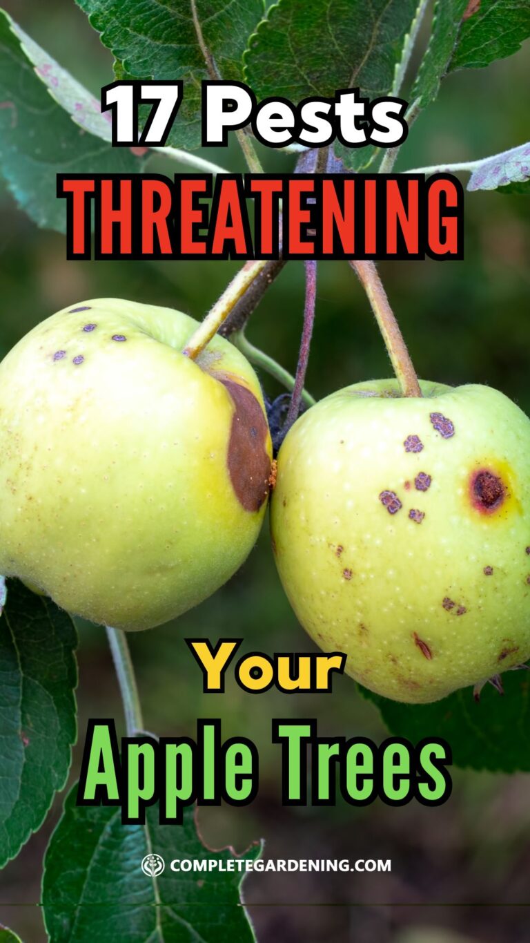Silent Invaders: 17 Pests Threatening Your Apple Trees - Complete Gardening