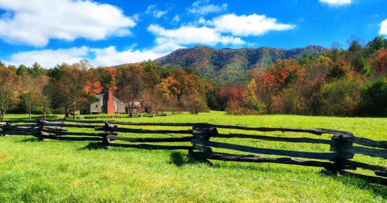 Starting a Homestead? These 13 Questions Will Make or Break Your Plan