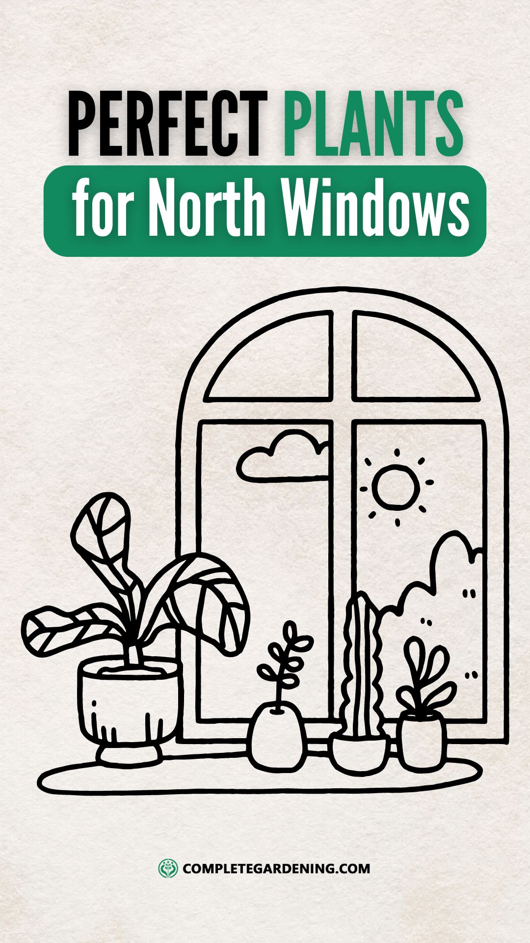 Struggling with Low Light? Here Are 15 Plants Perfect for NorthFacing