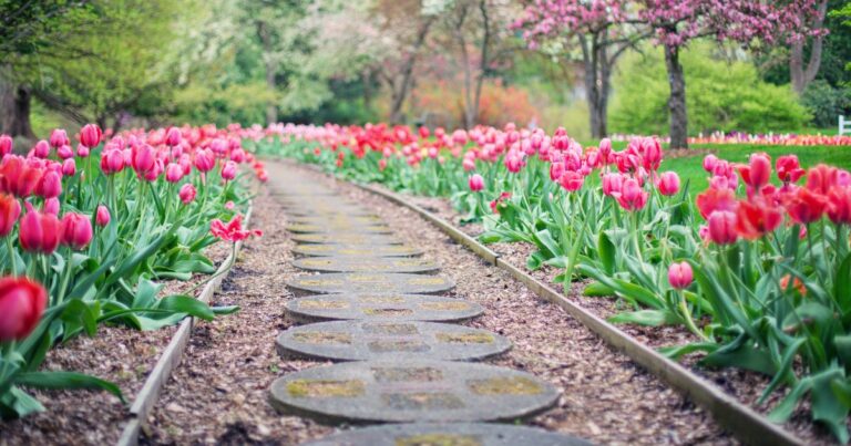 Want a Stunning Walkway? These 15 Perfect Plants Hold the Key!