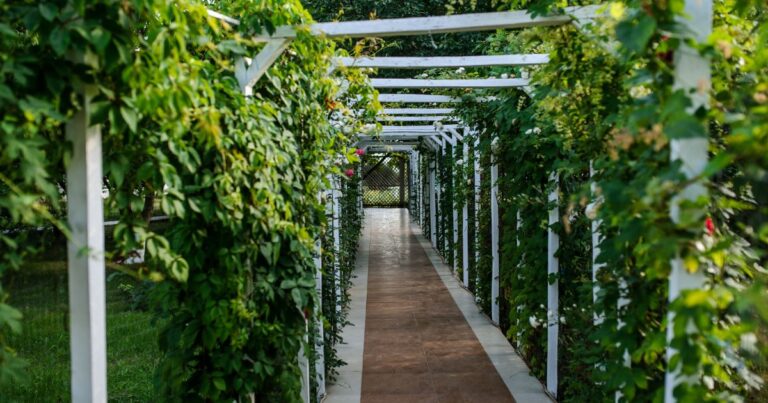 10 Garden Arches to Transform Your 2024 Outdoor Oasis