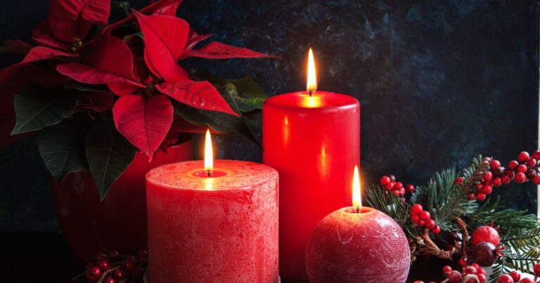 10 Gorgeous Winter Flowers to Brighten Up Your Holiday Decor