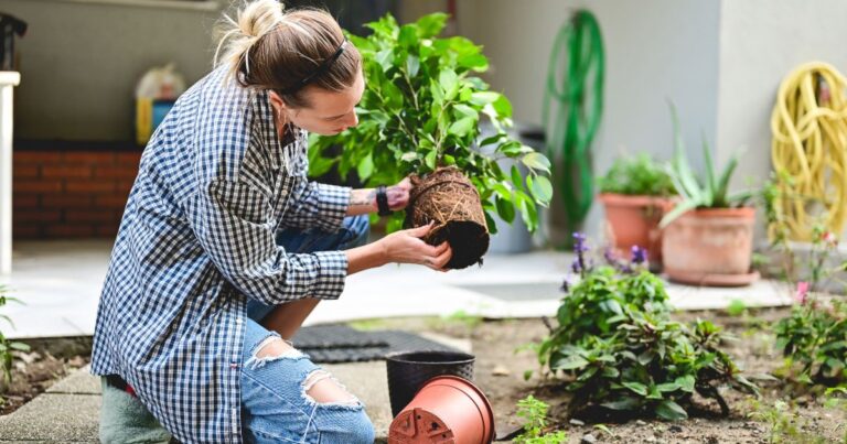 10 Ways to Revamp Your Garden Without Breaking the Bank