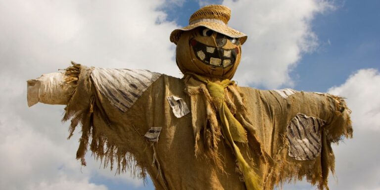 11 Modern Scarecrows That Wow Your Garden