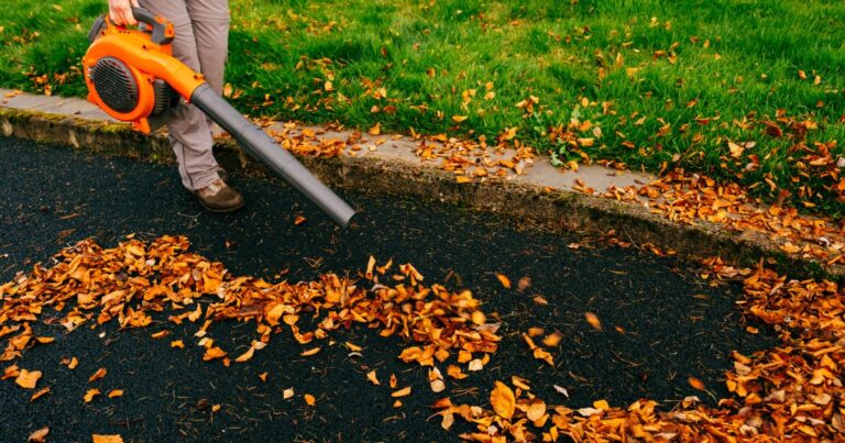 12 Brilliant Uses for Your Leaf Blower to Simplify Everyday Tasks