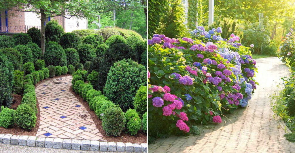 12 Stunning Foliage Plants to Elevate Your Garden Borders