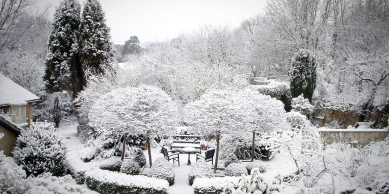 15 Creative Winter Gardening Ideas