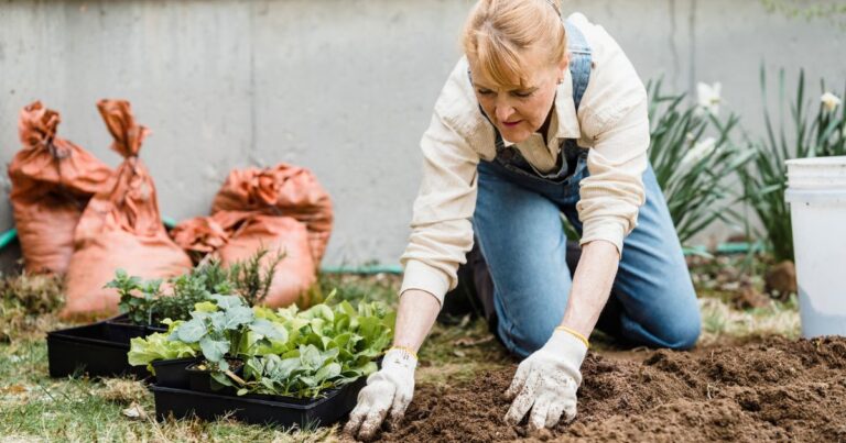 Stop! 15 Gardening Tips That Could Backfire