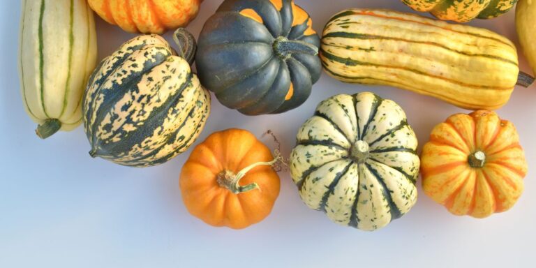 15 Must-Grow Companion Plants to Boost Your Winter Squash Garden Success