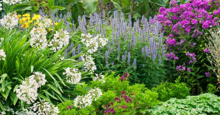 15 Perennial Pairings That Could Haunt Your Garden This Fall