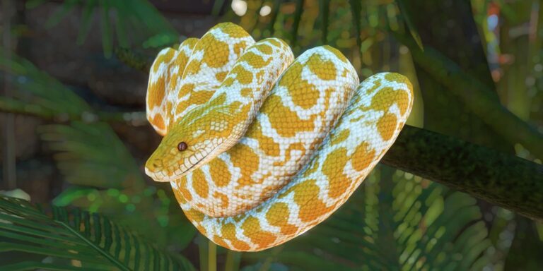 15 Things That Are Attracting Snakes To Your Yard