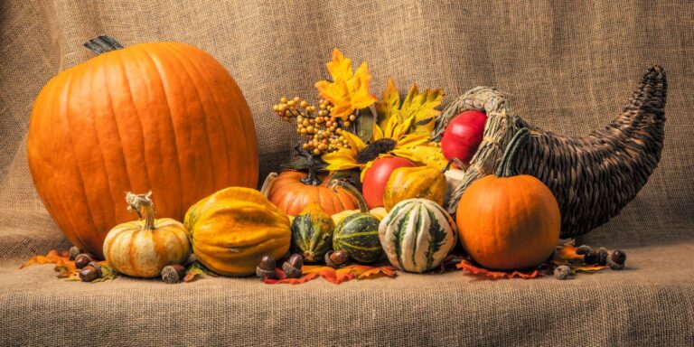19 Stunning Thanksgiving Decor Ideas on a Budget