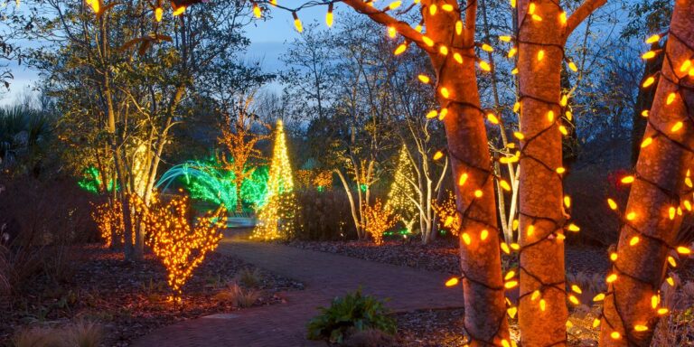 20 Budget-Friendly Outdoor Decorating Tips for Christmas Magic