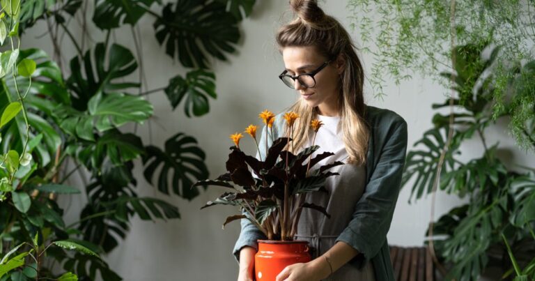 20 Houseplants That Flourish for Decades