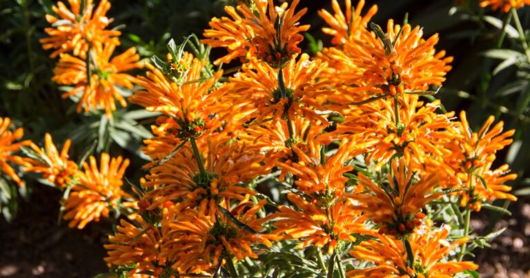 24 Smelly Houseplants to Avoid