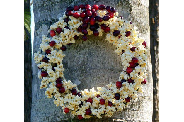 26. Cranberry and Popcorn Wreath