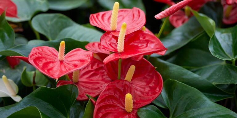 27 Gorgeous Plants That Will Elevate Your Interior Design