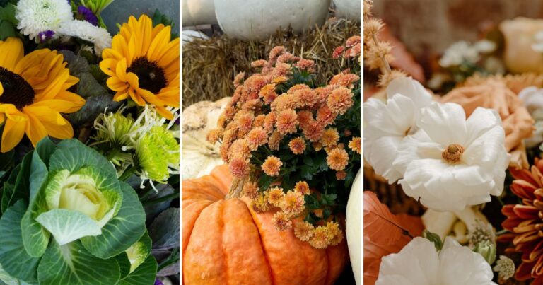 30 Plants That Add Charm to Your Thanksgiving Table