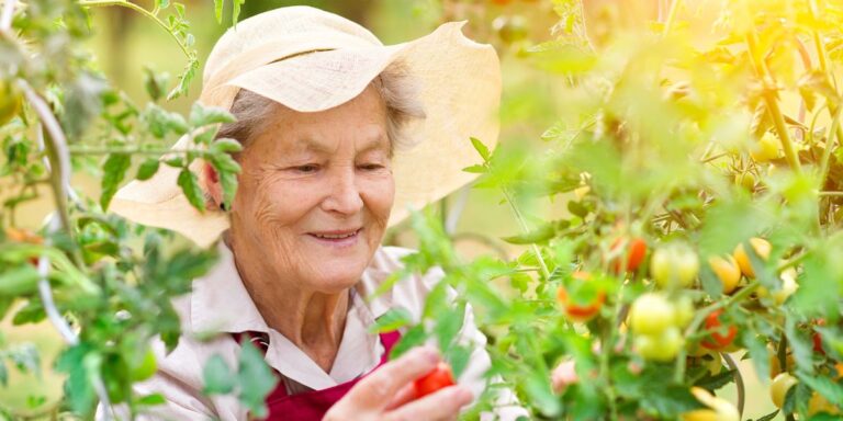 32 Simple Plants for Seniors to Start Their Garden