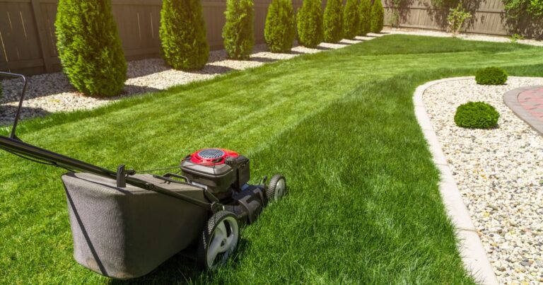 5 Easy Steps to Eliminate Crabgrass This Fall 2024