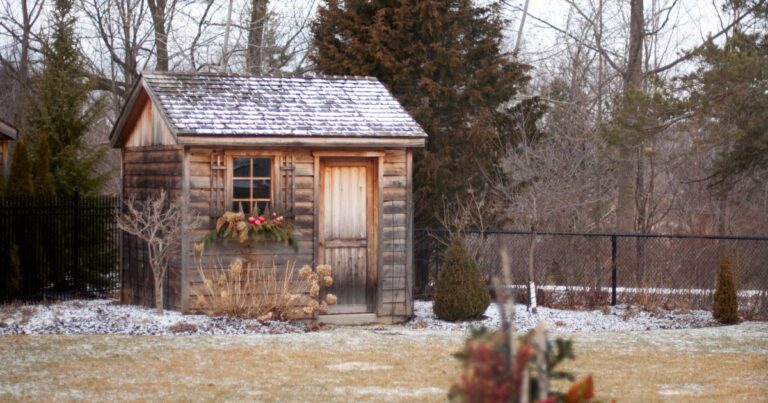 7 Things Never to Store in Your Shed during Winter