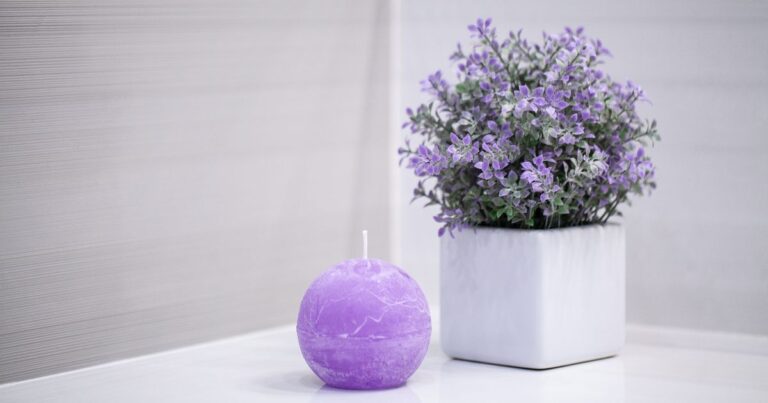 7 Top Plants to Keep Your Home Fresh