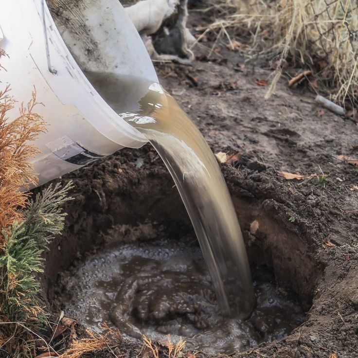 7. Checking Soil Drainage