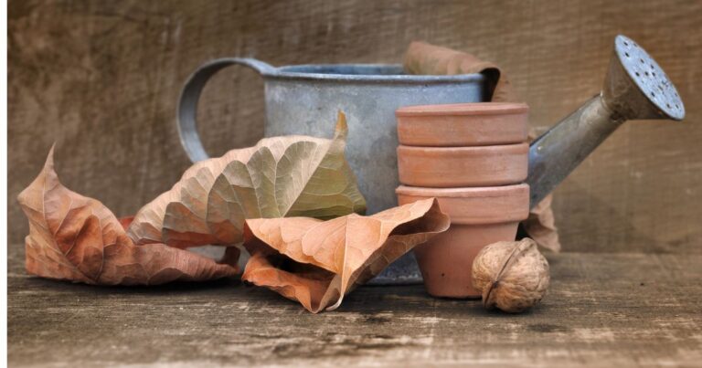 9 Essential Allotment Jobs to Prepare Your Garden for a Thriving Spring