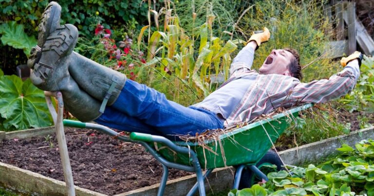 9 Gardening Habits You Didn’t Know Were Rude