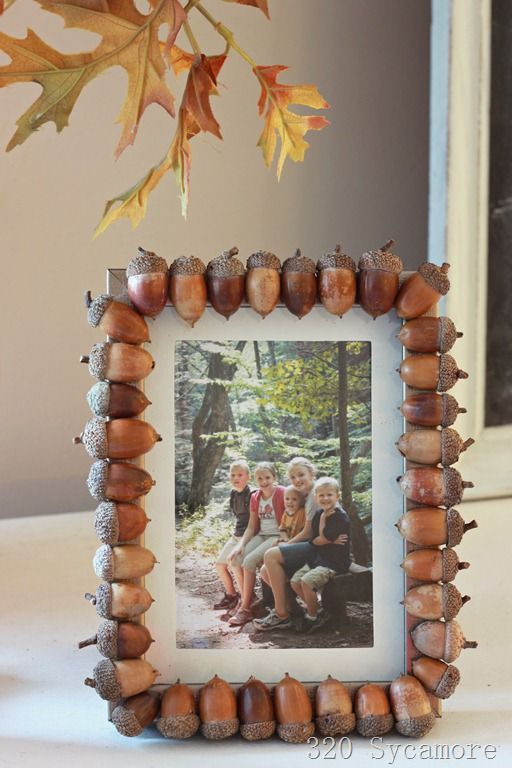 Acorn Picture Frame