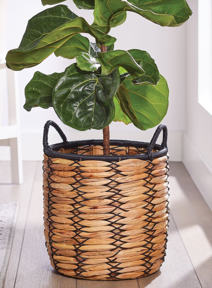 Basket Planter