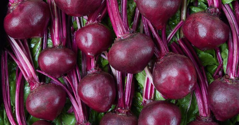 Beets Unveiled: Nutritional Powerhouses for Fall