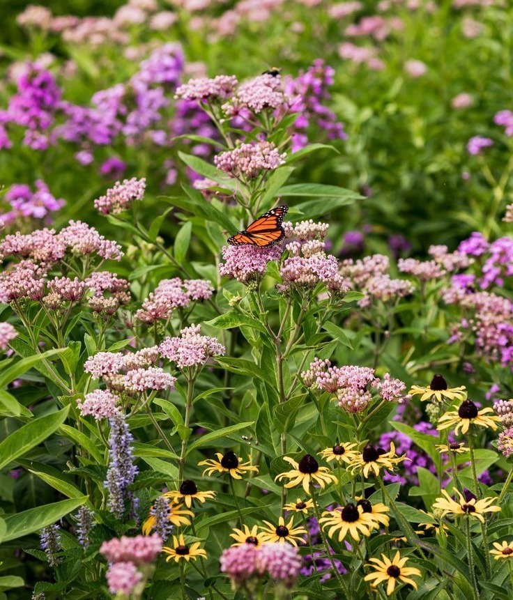 Biodiversity Boost