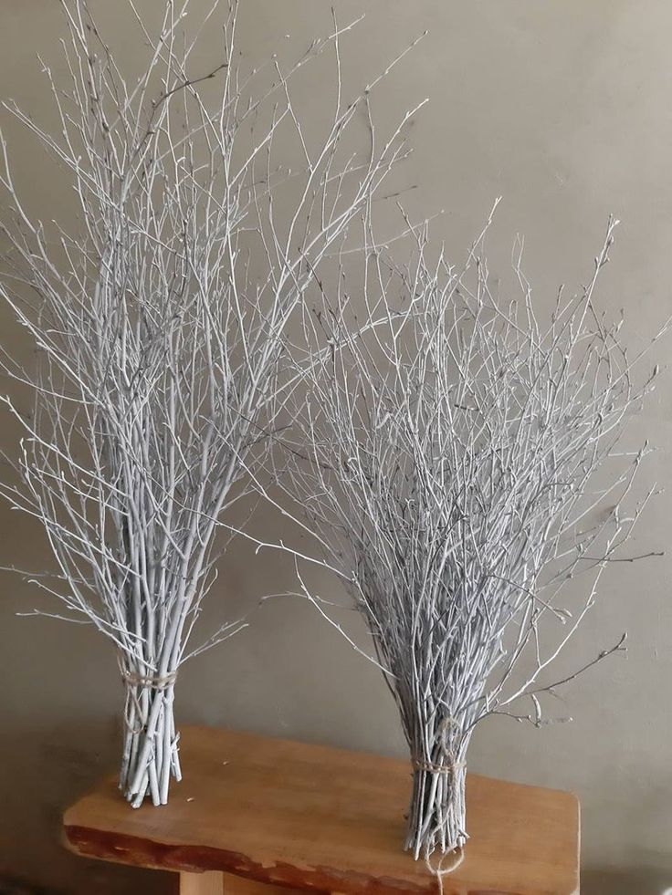 Birch Branches