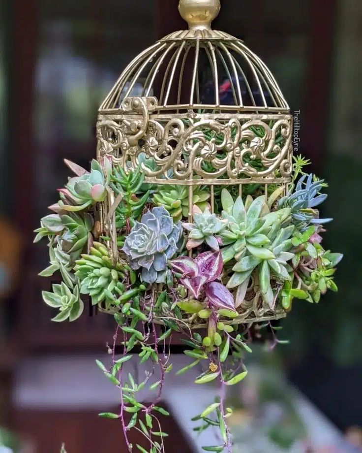 Birdcage Planter